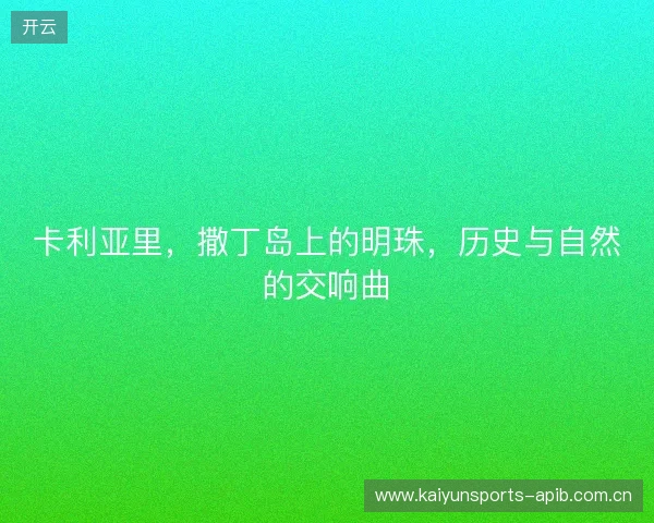 卡利亚里，撒丁岛上的明珠，历史与自然的交响曲